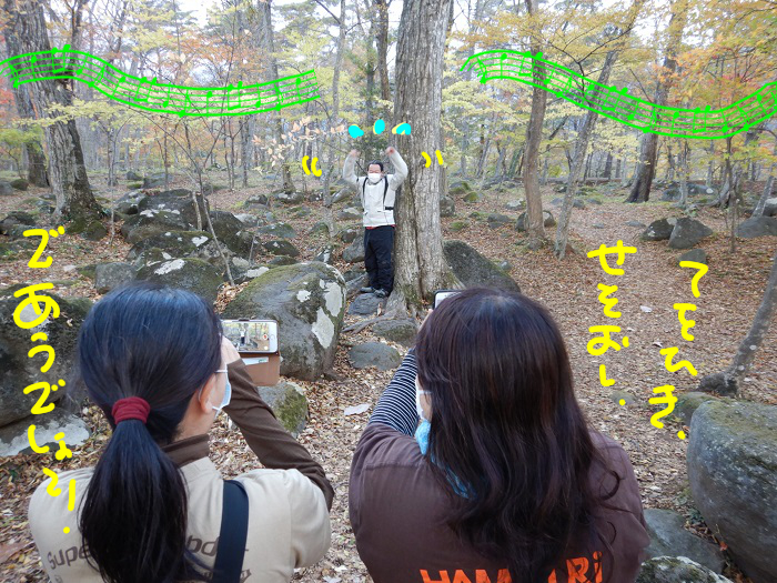 f:id:k9352009:20201117111440j:plain