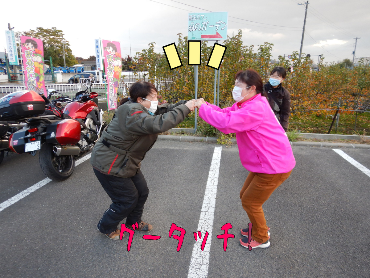 f:id:k9352009:20201117111847j:plain