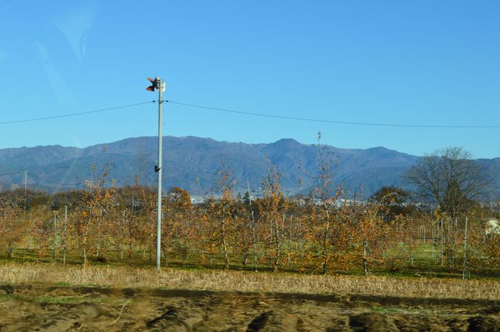 f:id:k9352009:20201201093453j:plain