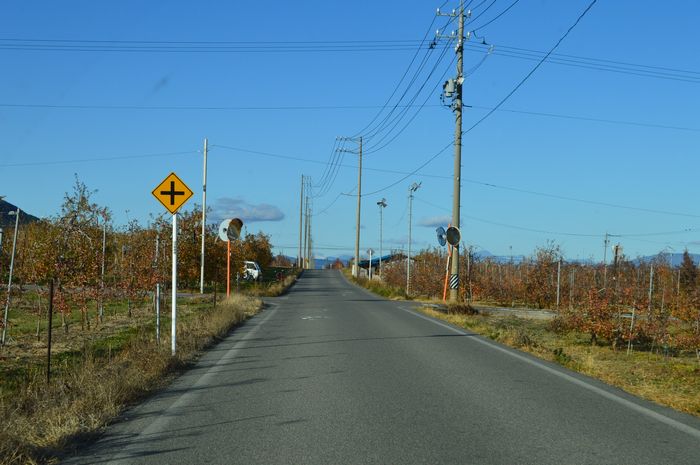 f:id:k9352009:20201201093515j:plain