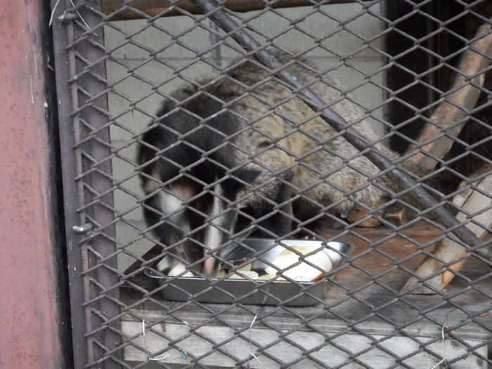 f:id:k9352009:20201201101532j:plain