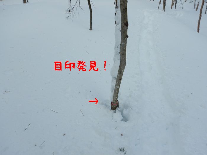 f:id:k9352009:20210225093710j:plain