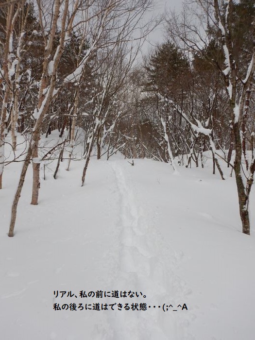 f:id:k9352009:20210225095723j:plain