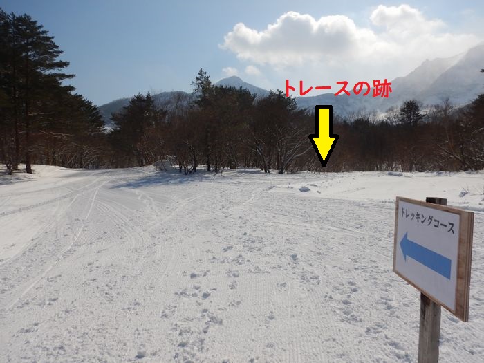 f:id:k9352009:20210226094300j:plain