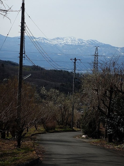 f:id:k9352009:20210302091248j:plain