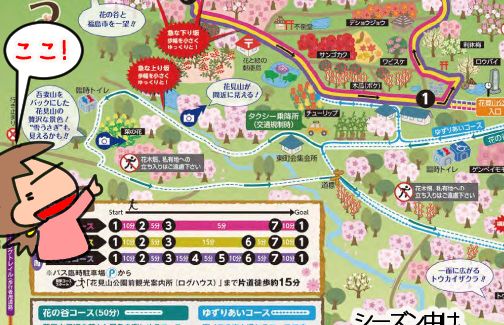 f:id:k9352009:20210302095746j:plain