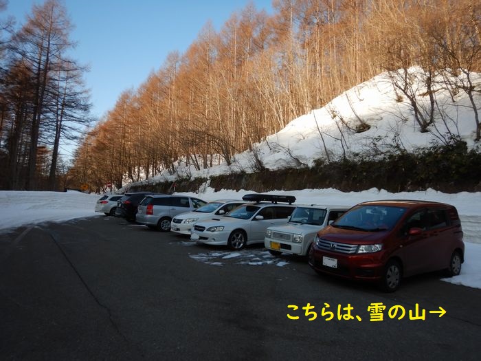 f:id:k9352009:20210303094001j:plain