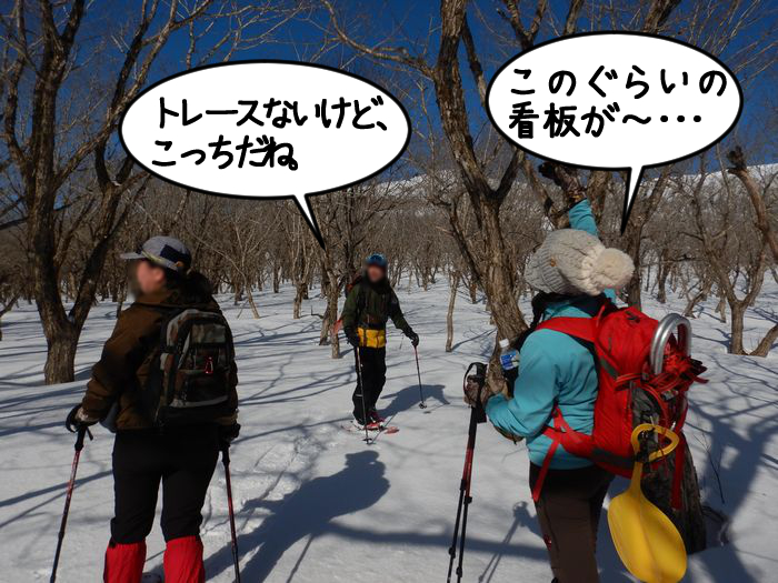 f:id:k9352009:20210304114358j:plain