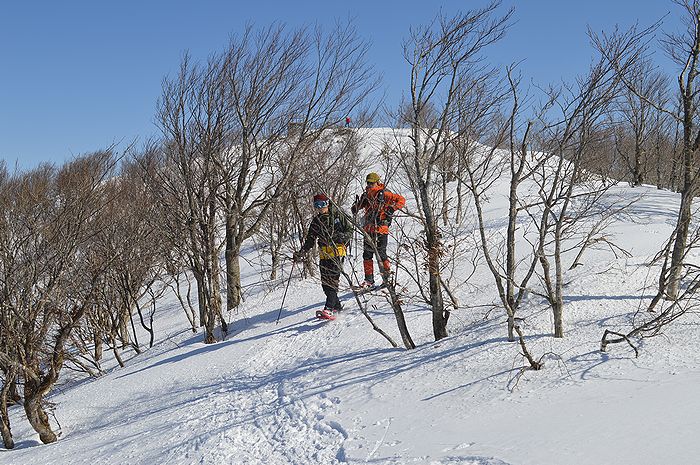 f:id:k9352009:20210305101106j:plain