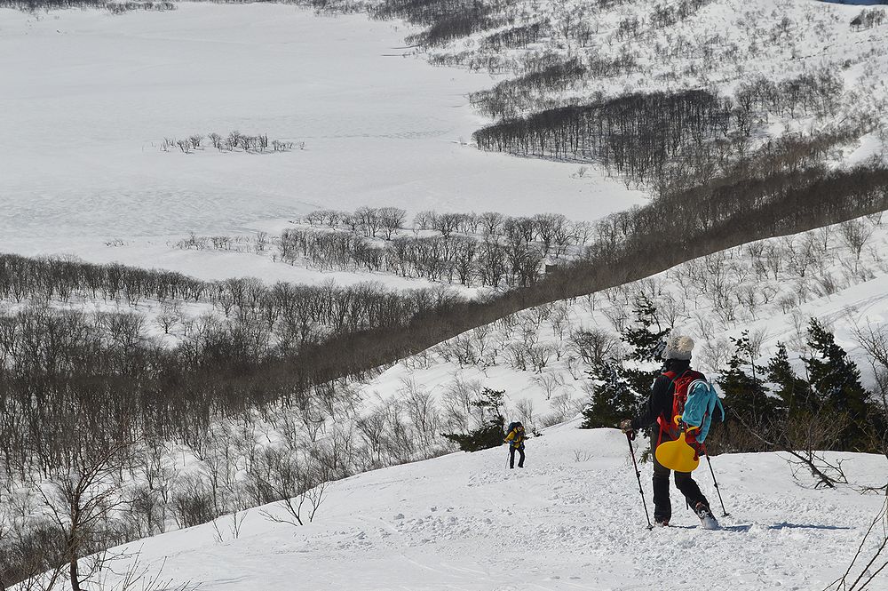 f:id:k9352009:20210305101138j:plain