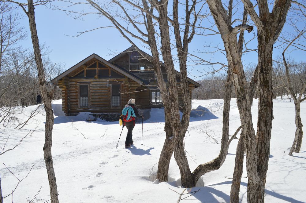 f:id:k9352009:20210305102212j:plain