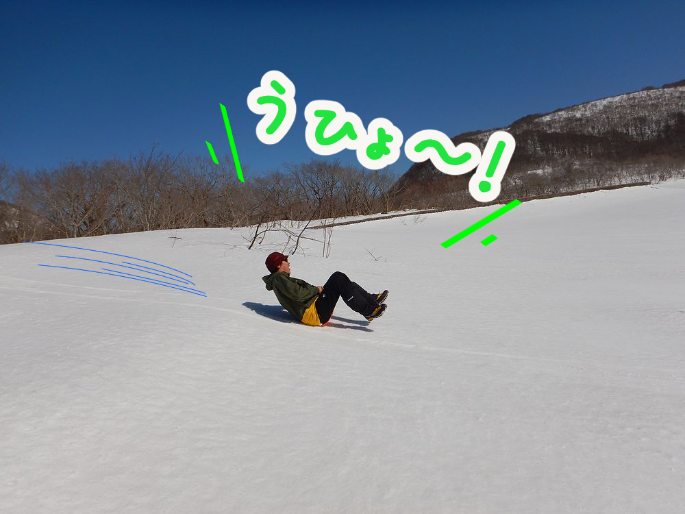 f:id:k9352009:20210306101642j:plain