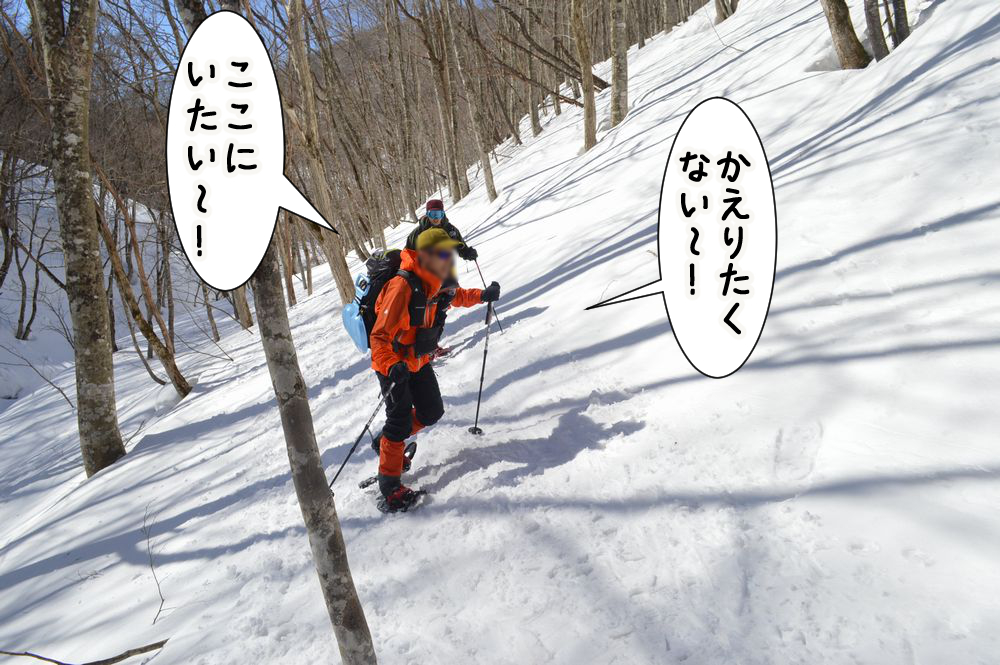 f:id:k9352009:20210306102233j:plain