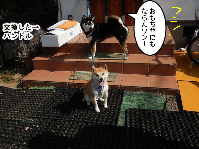 f:id:k9352009:20210317094940j:plain