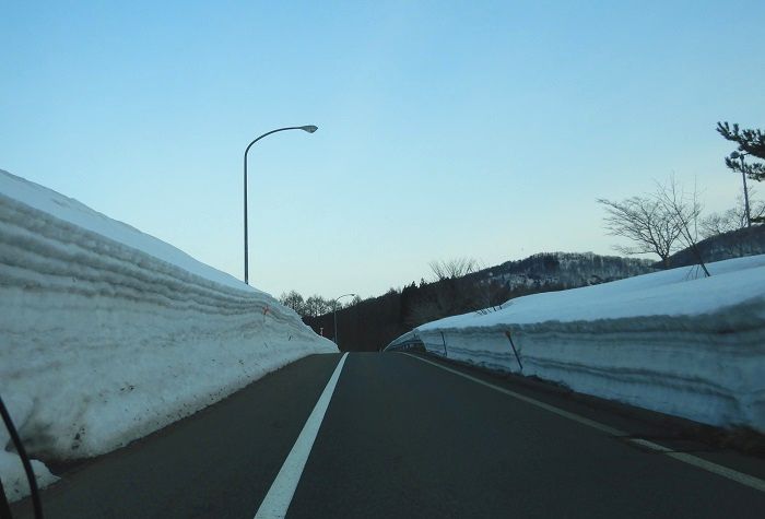 f:id:k9352009:20210318100158j:plain