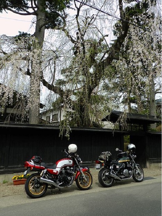 f:id:k9352009:20210318102703j:plain