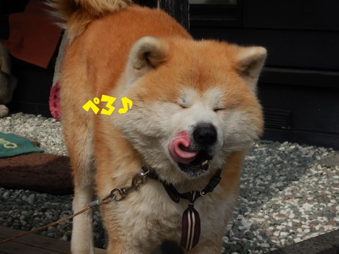 f:id:k9352009:20210318114924j:plain