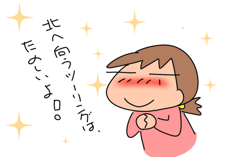 f:id:k9352009:20210329112448p:plain