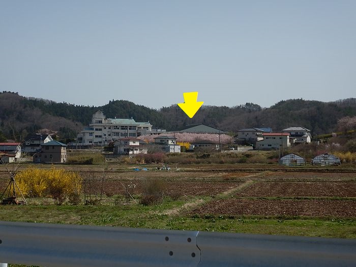 f:id:k9352009:20210401084641j:plain