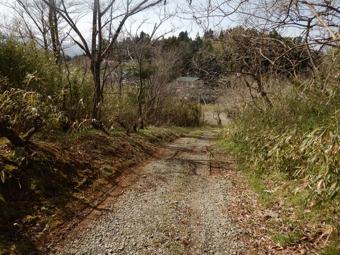 f:id:k9352009:20210401095722j:plain