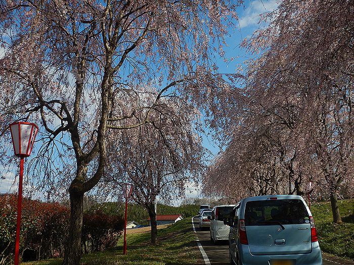 f:id:k9352009:20210412094222j:plain