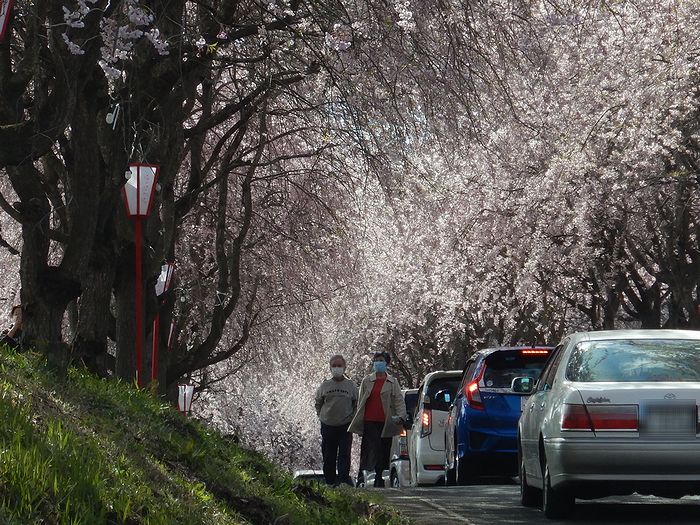 f:id:k9352009:20210412094505j:plain