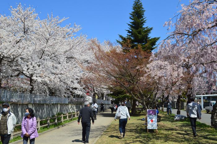 f:id:k9352009:20210414102357j:plain