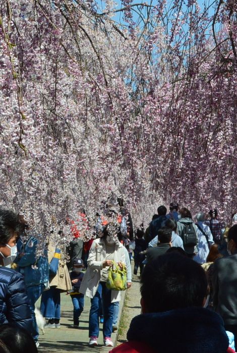 f:id:k9352009:20210414102630j:plain