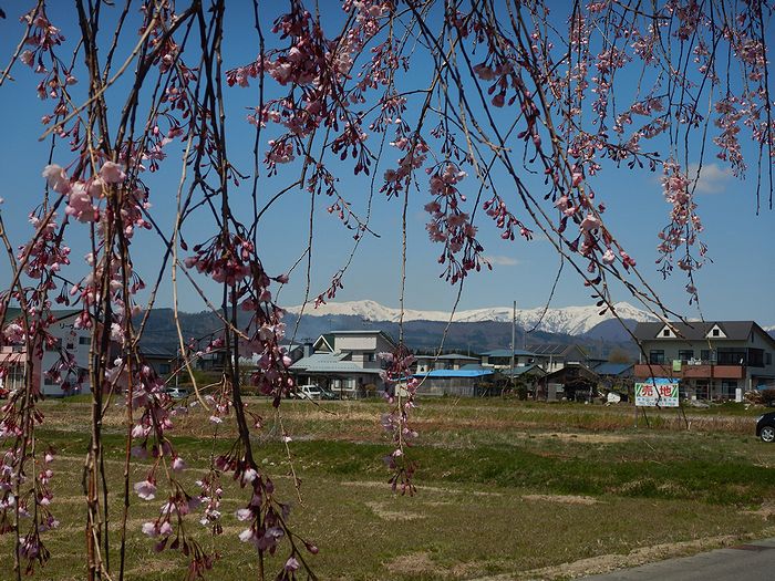 f:id:k9352009:20210414103042j:plain