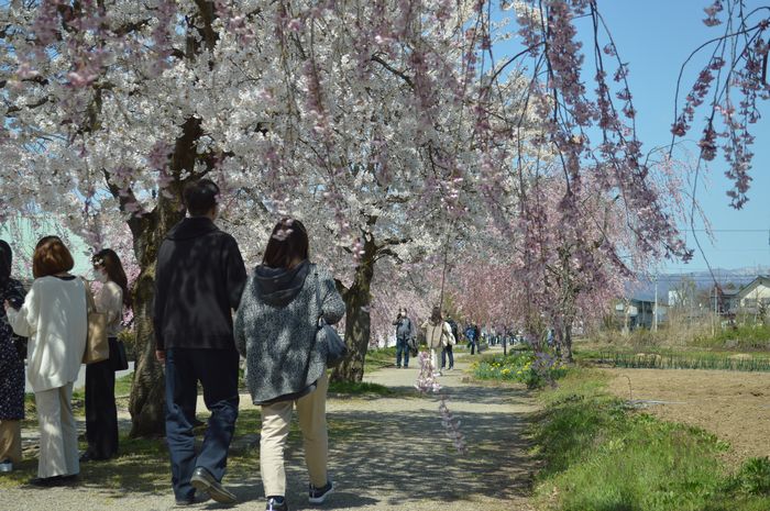 f:id:k9352009:20210414103214j:plain