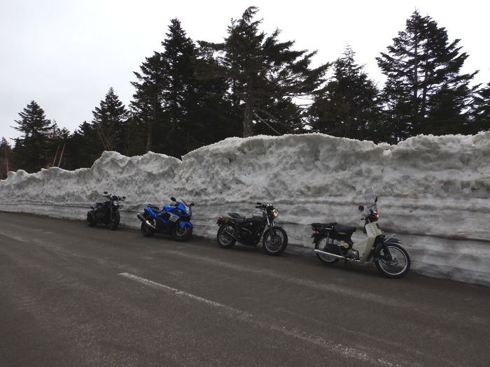 f:id:k9352009:20210420091936j:plain