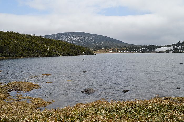 f:id:k9352009:20210520093953j:plain