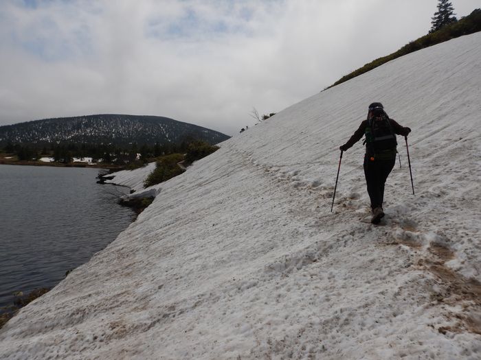 f:id:k9352009:20210520094724j:plain