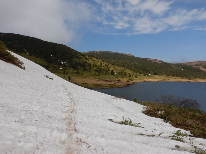 f:id:k9352009:20210520094822j:plain