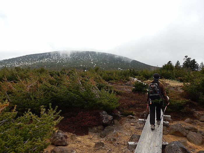 f:id:k9352009:20210520094922j:plain