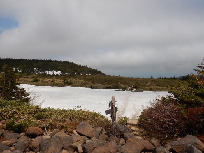 f:id:k9352009:20210520095819j:plain