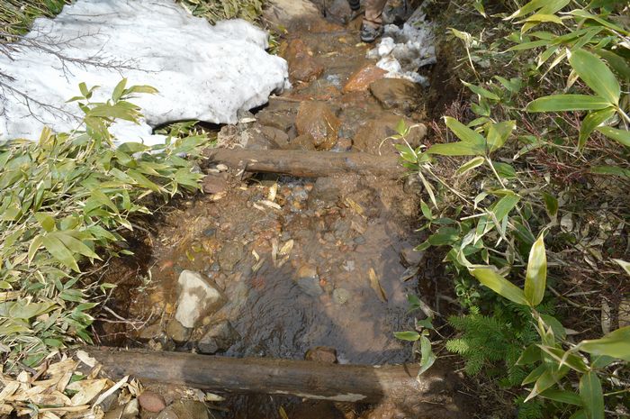 f:id:k9352009:20210520100538j:plain