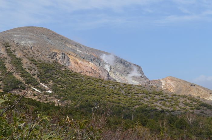 f:id:k9352009:20210520100809j:plain