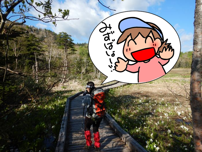 f:id:k9352009:20210601104534p:plain