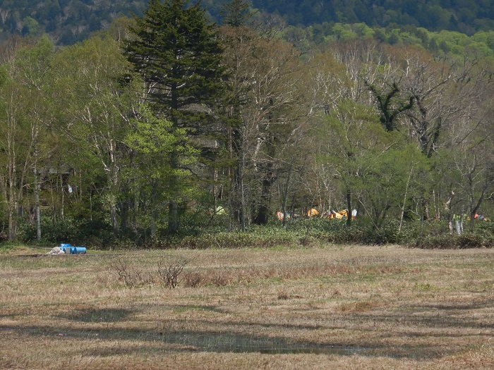 f:id:k9352009:20210604092605j:plain