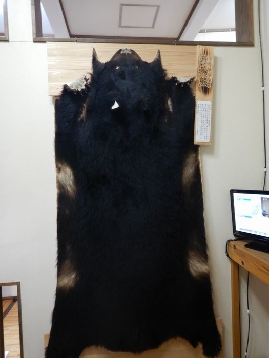 f:id:k9352009:20210604093635j:plain