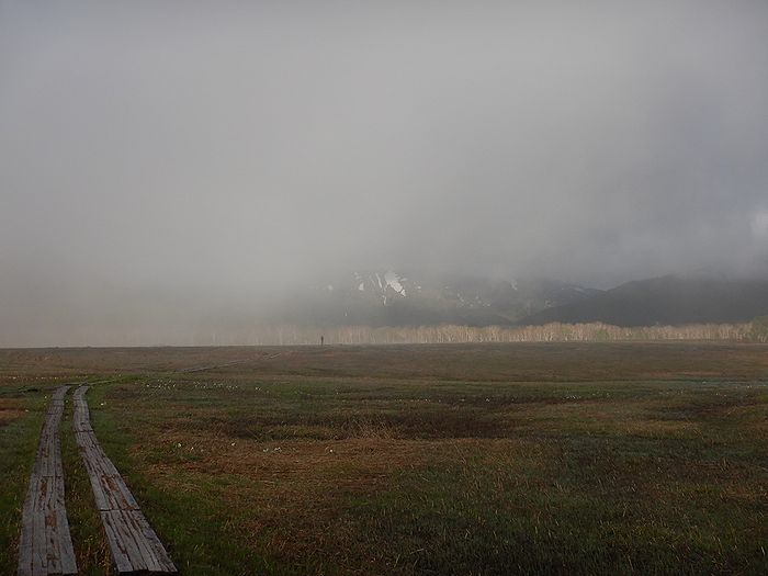 f:id:k9352009:20210604094144j:plain