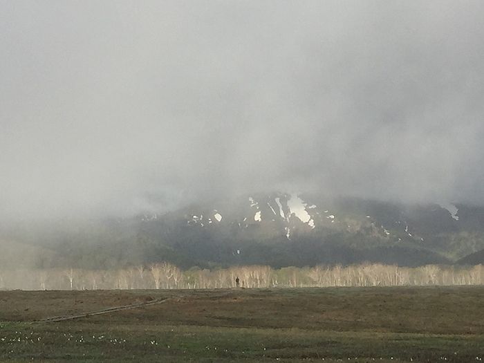 f:id:k9352009:20210604094430j:plain