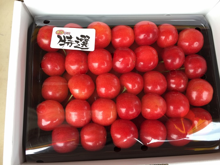 f:id:k9352009:20210614105108j:plain