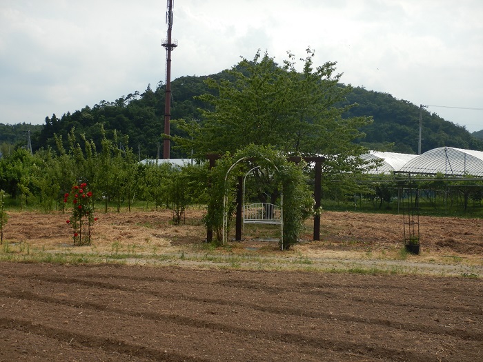 f:id:k9352009:20210614105446j:plain