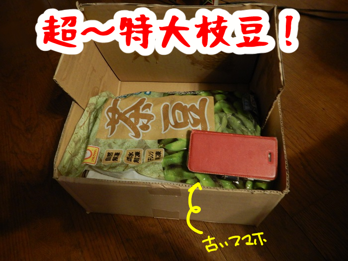 f:id:k9352009:20210710093227j:plain