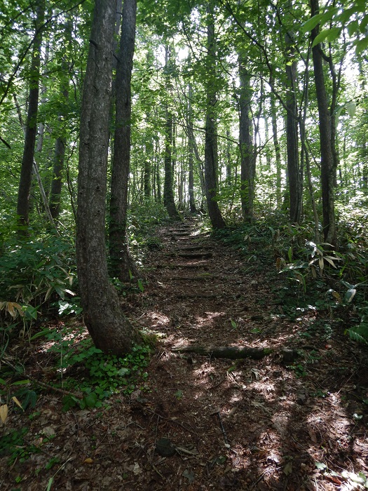 f:id:k9352009:20210711085833j:plain