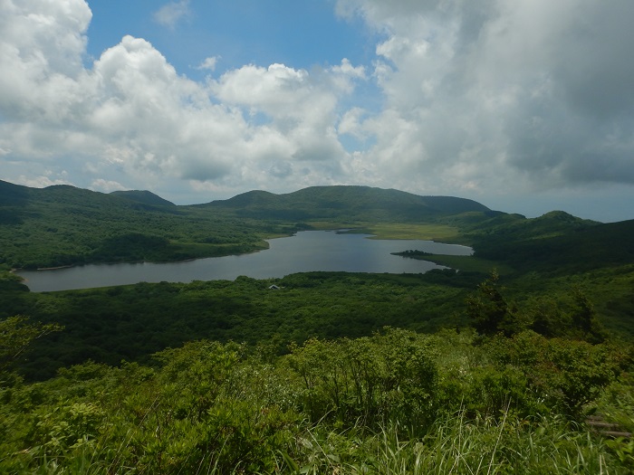 f:id:k9352009:20210711090110j:plain