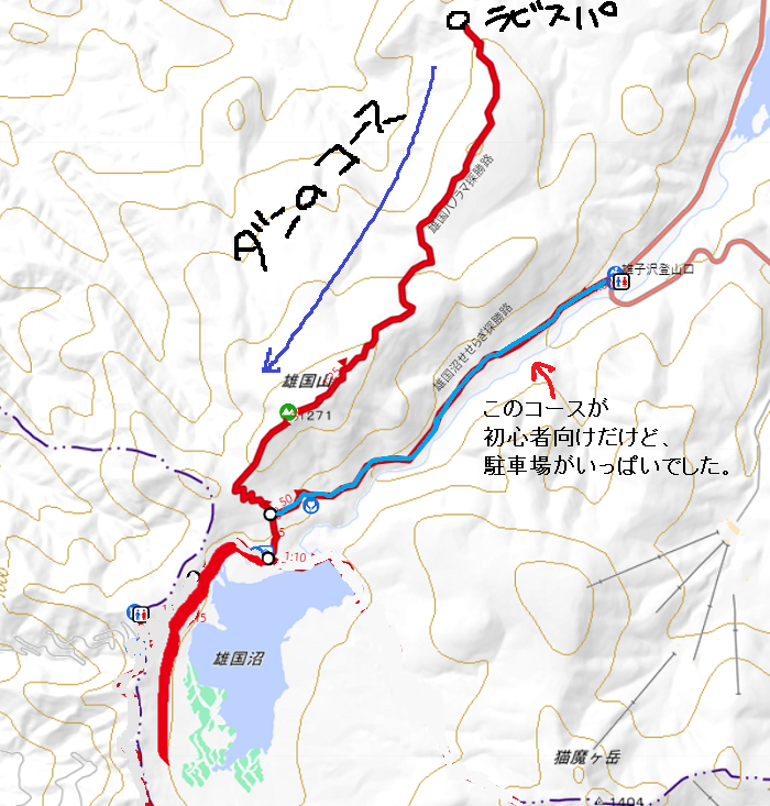 f:id:k9352009:20210711103003p:plain