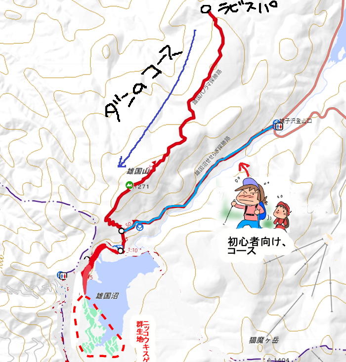 f:id:k9352009:20210714072443p:plain